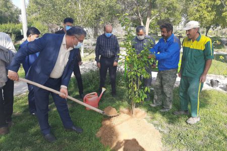 کاشت و توزیع بیش از ۱۰۰۰ اصله نهال بمناسبت هفته درختکاری و روز آب پخش+تصاویر