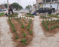 کاشت بیش از ۲۰۰۰ اصله نهال و بیش از ۲۰ هزار بوته گلهای فصلی در یکماه گذشته در میادین و بلوارهای شهر آب پخش+تصاویر