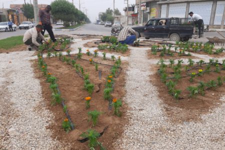 کاشت بیش از ۲۰۰۰ اصله نهال و بیش از ۲۰ هزار بوته گلهای فصلی در یکماه گذشته در میادین و بلوارهای شهر آب پخش+تصاویر