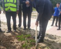 مراسم درختکاری و اهدای نهال رایگان در پارک خضراء شهر آب پخش برگزار شد+تصاویر