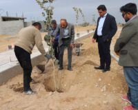 آغاز کاشت بیش از ۱۰۰۰ اصله نهال در پارک ها و بلوارهای سطح شهر آب پخش در آستانه هفته درختکاری و منابع طبیعی+تصاویر