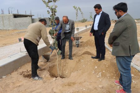 آغاز کاشت بیش از ۱۰۰۰ اصله نهال در پارک ها و بلوارهای سطح شهر آب پخش در آستانه هفته درختکاری و منابع طبیعی+تصاویر